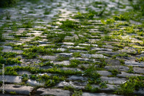 Cobblestone street in Iserlohn Sauerland Germany. Wheathered historic basalt ashlars or blocks in a with growing fresh green weeds and grass filling the gaps and fugues. Backlit by low evening sun. photo