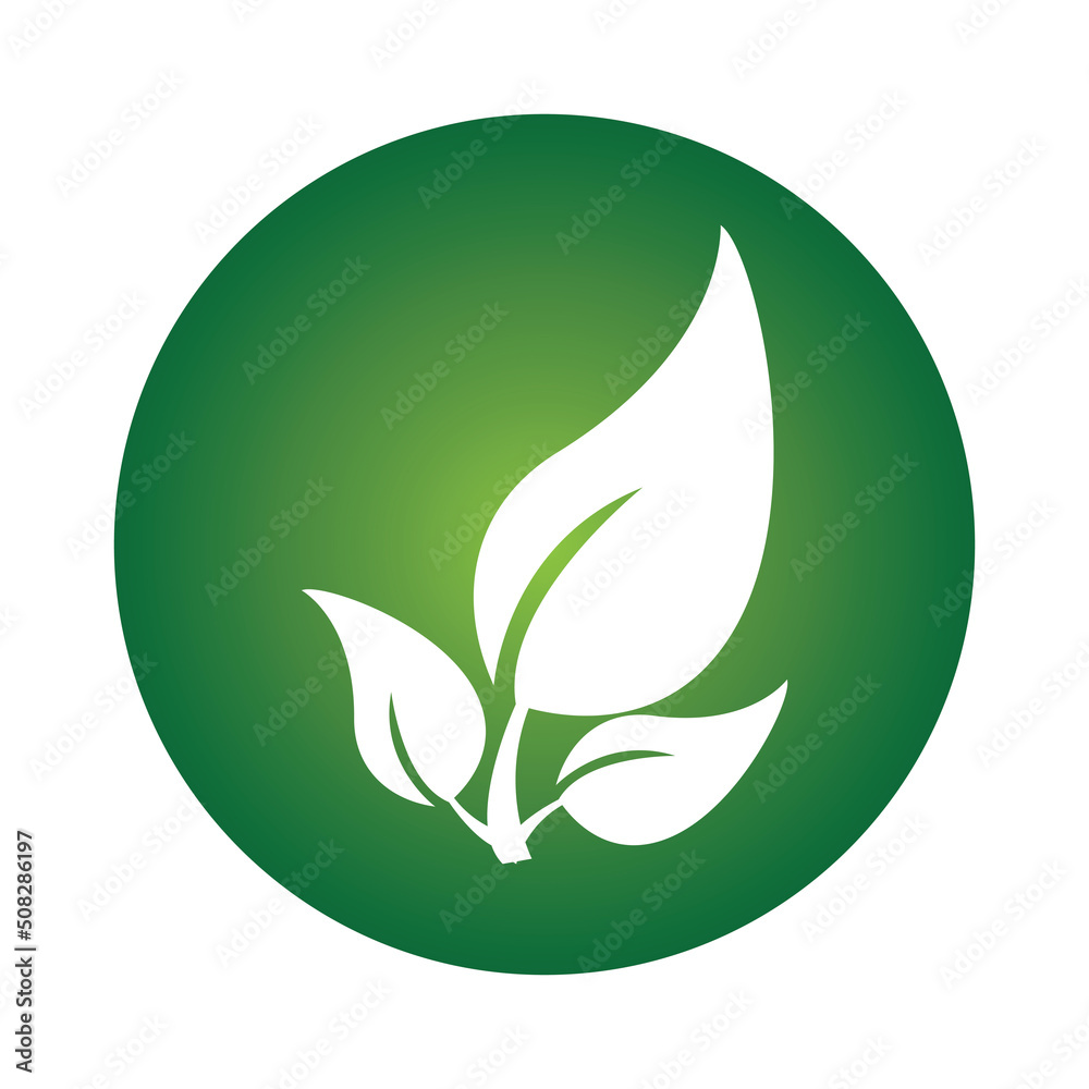 leave logo vector design and icon leave logo vector design and icon