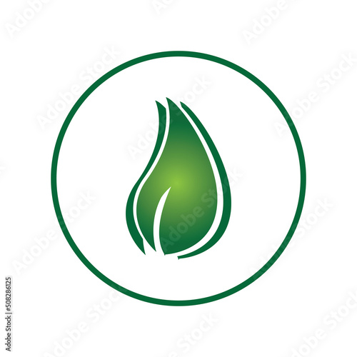 leave logo vector design and icon