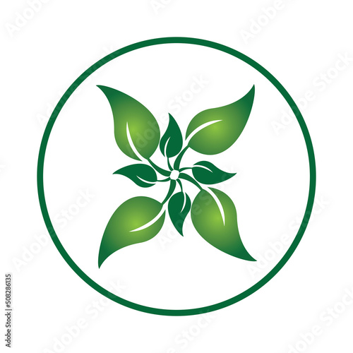 leave logo vector design and icon