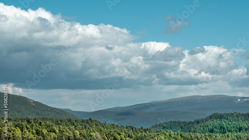 Fototapeta Naklejka Na Ścianę i Meble -  Row of trees on horizon line under blue sky. Cumulus clouds over green wood at sunset. Atmospheric front changes position, precipitation formation