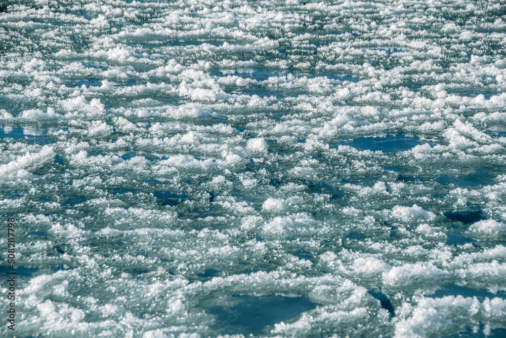 Obraz premium Round ice floes with fluffy edges in turquoise water of mountain river. Sunny frosty morning in surf zone. Dangerousness of movement and navigation. 