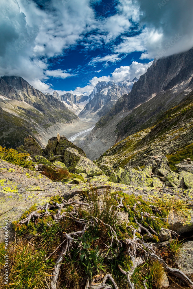 Fototapeta premium Beautiful glacier valley Mer du Glace in the French Alps in summer