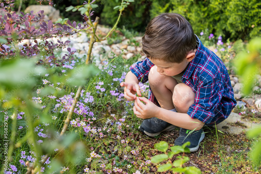 Little toddler boy play in garden in spring Little toddler boy play in garden in spring
