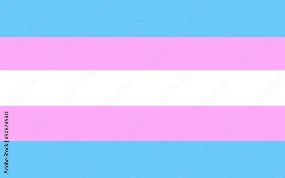 Vector transgender flag. LGBTQ Plus transgender flag.