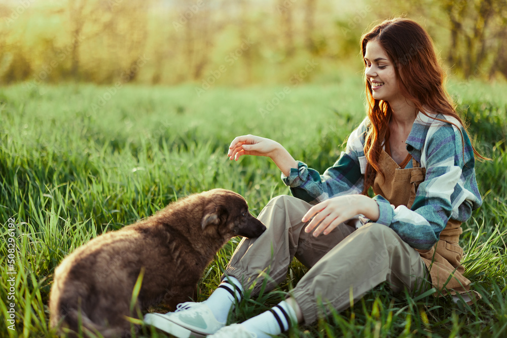 Woman happily smiling at playing with her little dog outdoors on fresh green grass in the summer sunshine her and her dog's health, Health Concept and timely treatment for insects ticks and tick fleas
