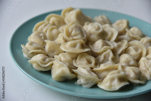 Cooked dumplings on a plate in the kitchen