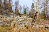 South Ural kurumnik, stones, cobblestones, moss with a unique landscape, vegetation and diversity of nature.