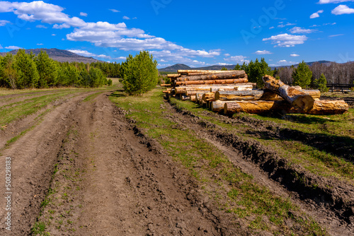 Tree logs, wood mining and a country road.