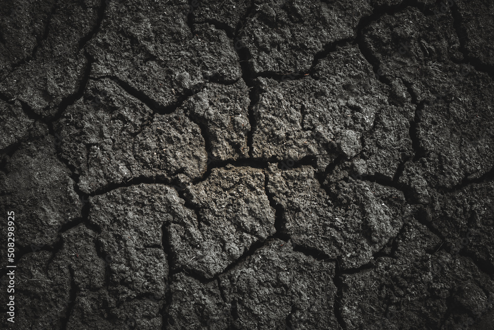 Black dried cracked earthen soil, background texture Black dried cracked earthen soil, background texture