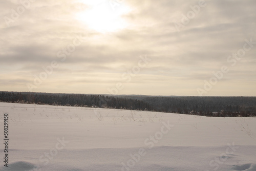 winter evening landscape field and forest
