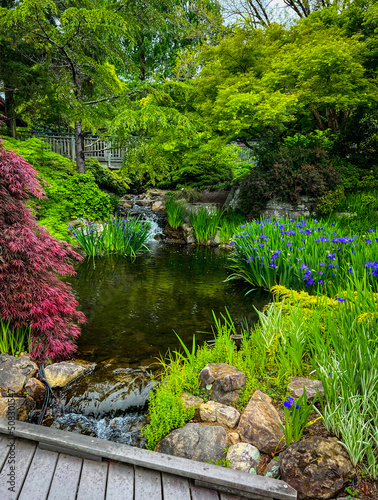 Pond and waterfall at Ginter Botanical Garden in Richmond Virginia photo