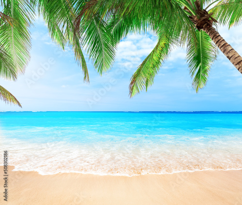 Coconut palm trees against blue sky and beautiful beach in Punta Cana, Dominican Republic. © preto_perola