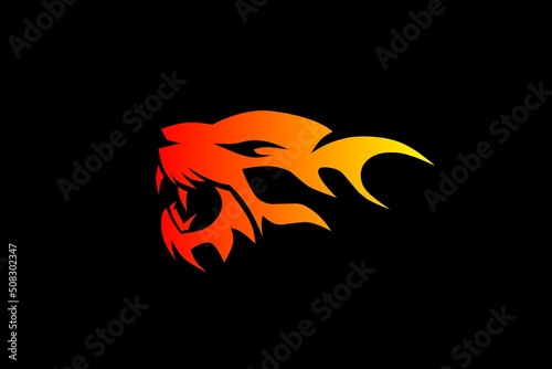 The logo of the tiger with fire, two combinations of good and interpreting the tiger is a symbol of power and fire means the burning spirit, suitable as a logo and visible from a distance