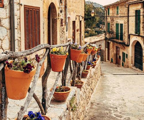 Fototapeta Naklejka Na Ścianę i Meble -  View of the ancient streets of Valldemossa. violets in clay pots on the hedge