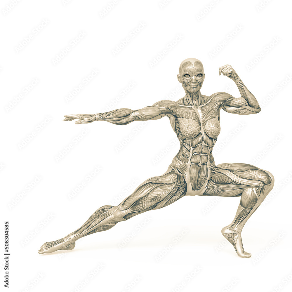female bodybuilder is doing an action pose in white background