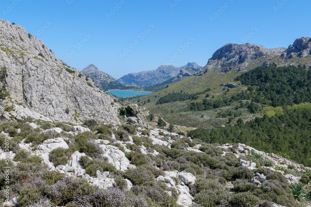 Wanderung auf dem Fernwanderweg GR 221 Ruta de Pedra en Sec von Soller nach Lluc durch die Serra de Tramuntana mit wunderbarem Blick auf dem Cúber Stausee. Wanderung auf dem Fernwanderweg GR 221 Ruta de Pedra en Sec von Soller nach Lluc durch die Serra de Tramuntana mit wunderbarem Blick auf dem Cúber Stausee.