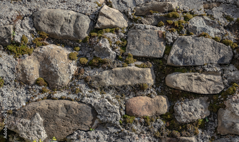 Stone wall covered by moss background