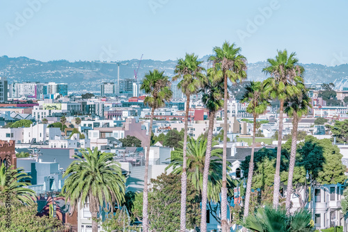 Dolores Park, San Francisco, California. color landscape photo of park with palm trees in foreground and san francisco skyline in background © Volodymyr