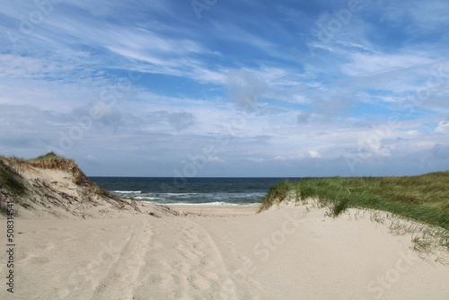 North Sea coast in northern Jutland  Denmark