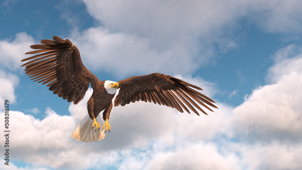 白頭鷲 Images Browse 117 Stock Photos Vectors And Video Adobe Stock 白頭鷲 Images Browse 117 Stock Photos Vectors And Video Adobe Stock