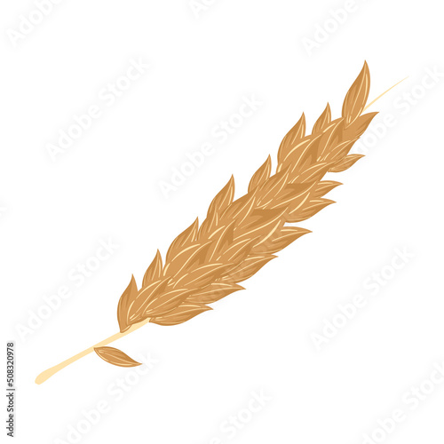 golden barley design