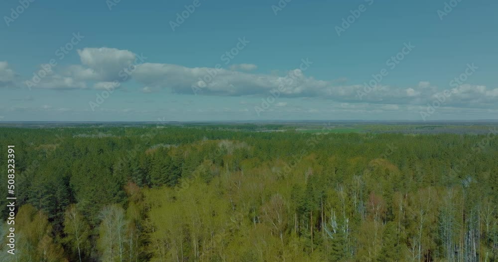 aerial view of coniferous and deciduous forest in autumn sunny day, calm weather, 4K, Prores aerial view of coniferous and deciduous forest in autumn sunny day, calm weather, 4K, Prores