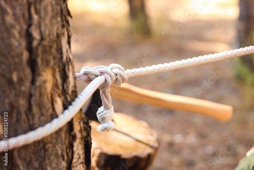 Tourist's rope bound to tree in forest, closeup