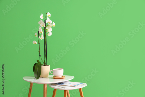 Orchid flower, cup and maga...