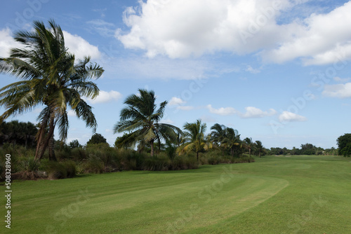 Beautiful landscape in a golf course with palm trees and a blue sky with clouds on a sunny day © Andres Serna