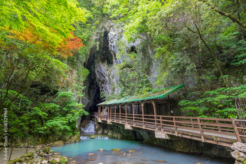 洞窟内　山口県　美祢市　秋芳洞　鍾乳洞　洞窟　川　地下水