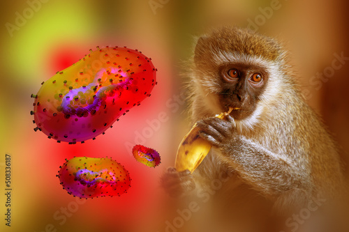 Monkeypox outbreak concept. Monkeypox is a viral zoonotic disease. Monkeypox outbreak, MPXV virus. The spread of the disease from wild animals. The virus flies around the monkey. photo