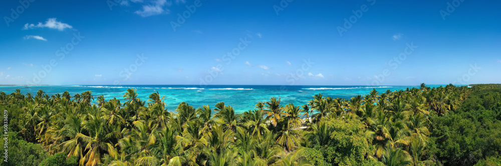 Bounty and pristine tropical shore with coconut palm trees and turquoise caribbean sea. Beautiful landscape. Aerial panoramic view