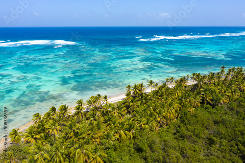 Bounty and pristine tropical shore with coconut palm trees and turquoise caribbean sea. Beautiful landscape. Aerial view