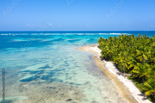 Canvas Print Bounty and pristine tropical shore with coconut palm trees and turquoise caribbean sea