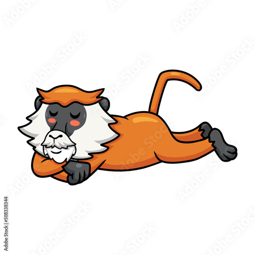 Cute little patas monkey cartoon sleeping
