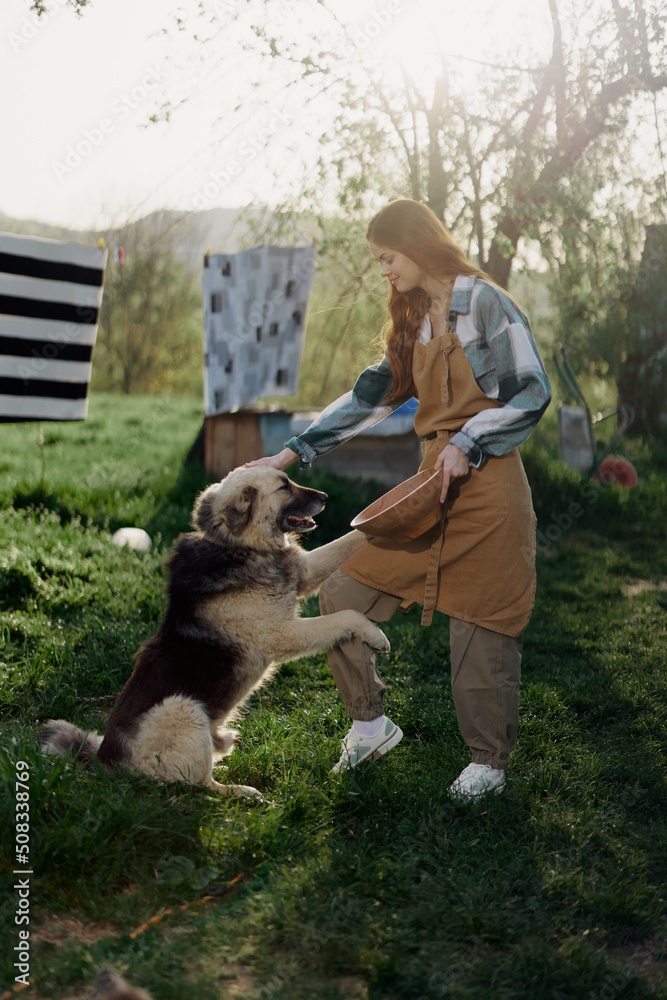 Woman stroking her big furry dog on. farm in the countryside against a backdrop of clean laundry on a rope Woman stroking her big furry dog on. farm in the countryside against a backdrop of clean laundry on a rope