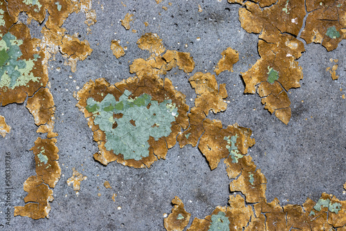 Peeling paint on the wall. Old concrete wall with cracked flaking paint. Weathered rough painted surface with patterns of cracks and peeling. Grunge texture for background and design. High resolution.