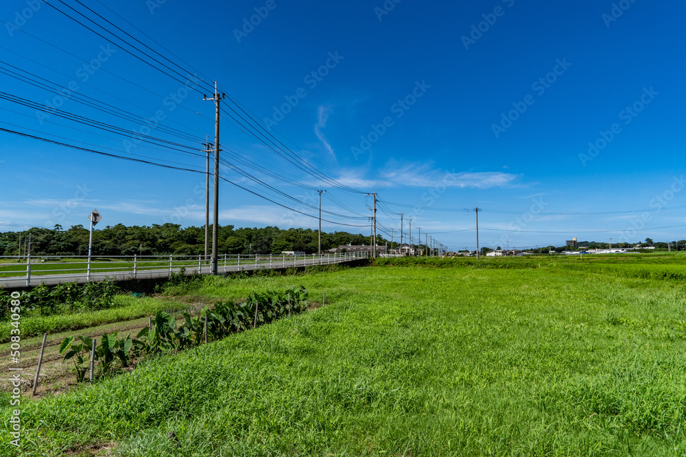 electric line pass through the field beside a country road in Fukuoka prefecture, JAPAN.