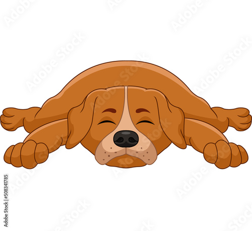 Cute dog cartoon sleeping on white background