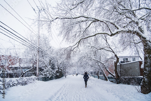 Wallpaper Mural Woman walking in the empty streets of Longueuil old town on snowfall day in Quebec (Canada) Torontodigital.ca