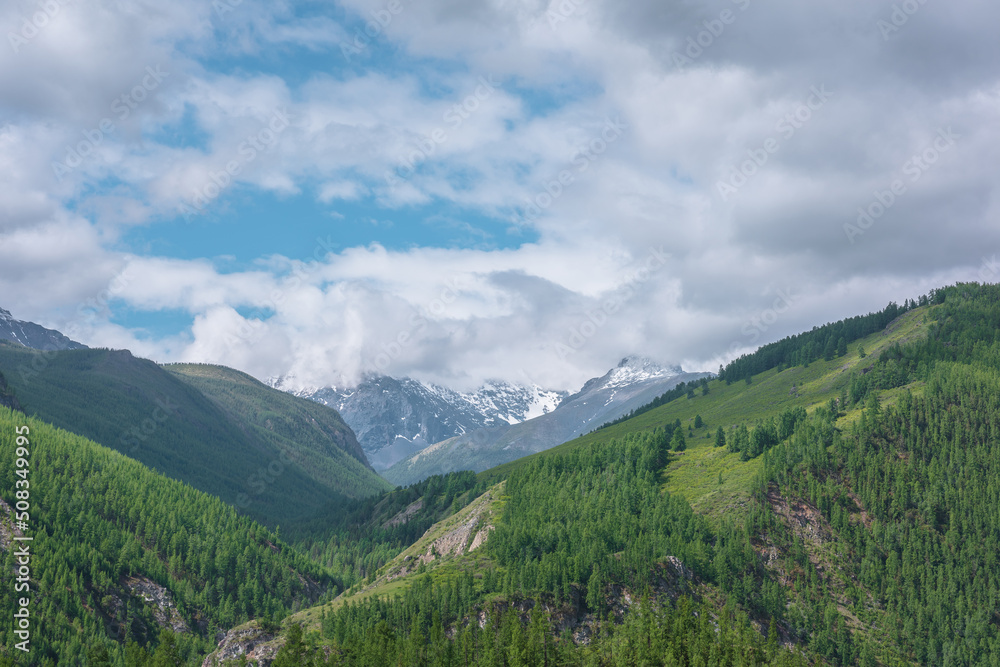 Atmospheric green landscape with sunlit forest hills and high snow mountains ​in low clouds. Beautiful mountain valley in sunlight and large snow mountain range under cloudy sky in changeable weather.