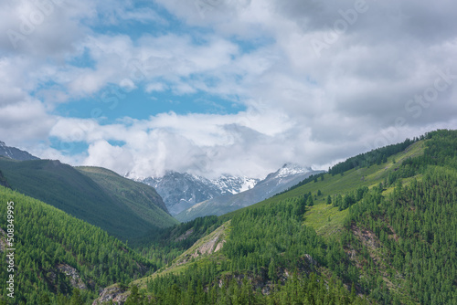 Atmospheric green landscape with sunlit forest hills and high snow mountains ​in low clouds. Beautiful mountain valley in sunlight and large snow mountain range under cloudy sky in changeable weather. © Daniil