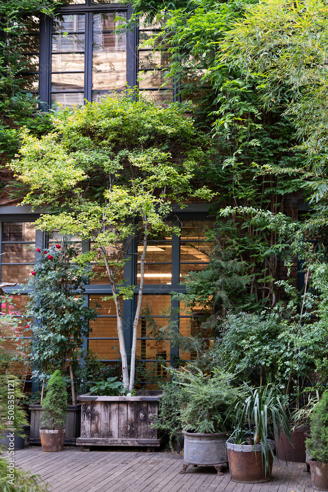 Landscaping of urban public spaces with different potted plants and flowers, creating cozy green places. Hotel area with a lush green garden and wooden floor outdoors. Backyard with greenery Landscaping of urban public spaces with different potted plants and flowers, creating cozy green places. Hotel area with a lush green garden and wooden floor outdoors. Backyard with greenery