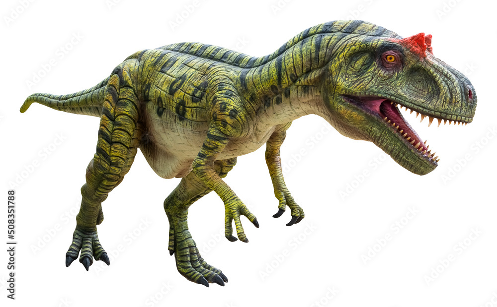 Obraz premium Eustreptospondylus is a carnivorous genus of a megalosaurid theropod dinosaur from the Late Jurassic period, Eustreptospondylus isolated on white background with clipping path