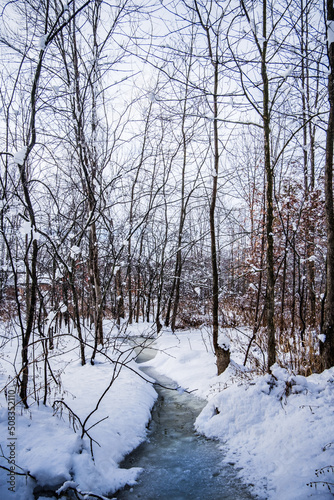 River flowing within the trees and under the snow during winter in Parc Nature du Bois de l'Ile Bizard, a park located on Montreal island in Quebec, Canada photo