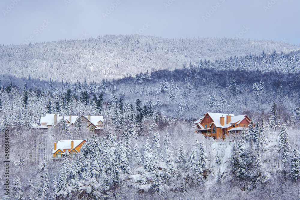 Obraz premium View on the roofs of chalet and cabins, surrounding by pine trees covered with snow, near Tremblant ski resort, on a snowy and cold day in Quebec (Canada)