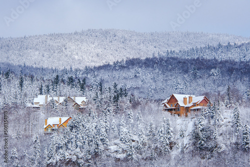 Wallpaper Mural View on the roofs of chalet and cabins, surrounding by pine trees covered with snow, near Tremblant ski resort, on a snowy and cold day in Quebec (Canada) Torontodigital.ca