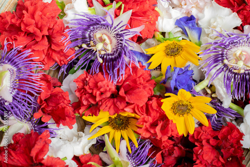 Various colourful flowers - atistic flower image. photo