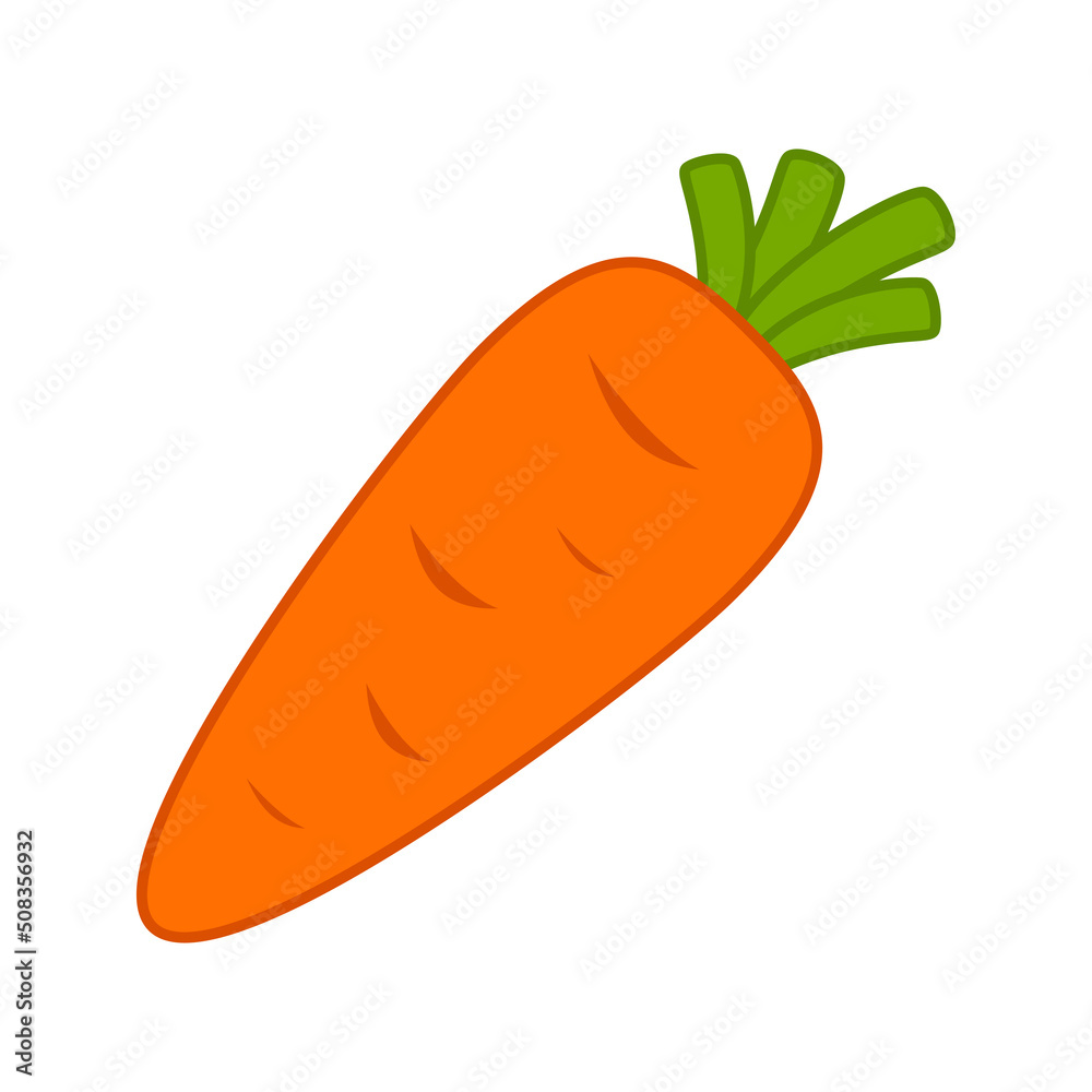 Carrot isolated on white background. Vector illustration Carrot isolated on white background. Vector illustration